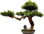 Potted Artificial Pine Bonsai Desktop Green Plant