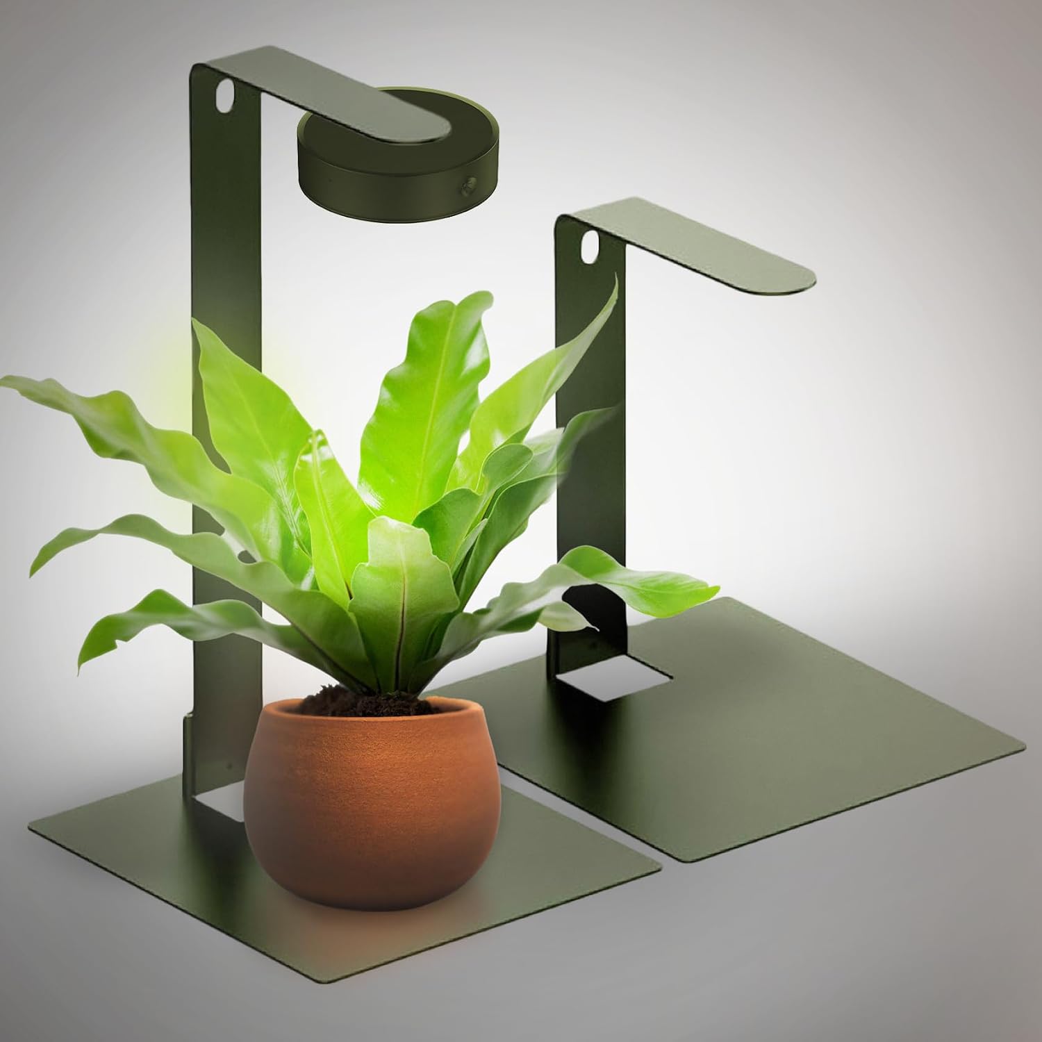 Dimmable Full Spectrum Desktop Grow Light for Plants