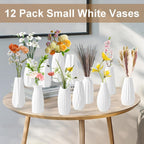 Set of 12 White Small Bud Vases Boho Pampas