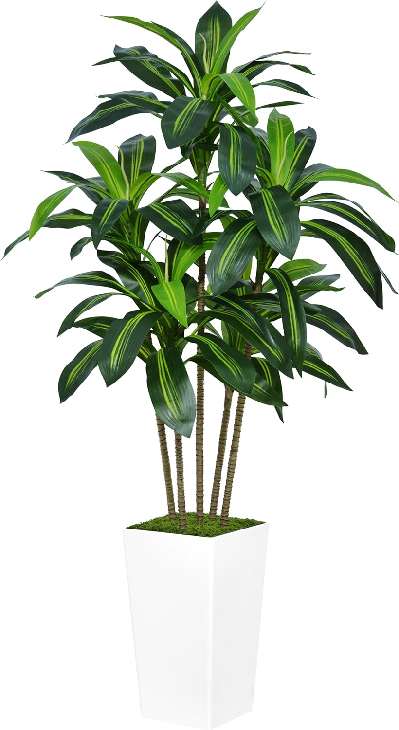 5FT Artificial Dracaena Tree with White Planter