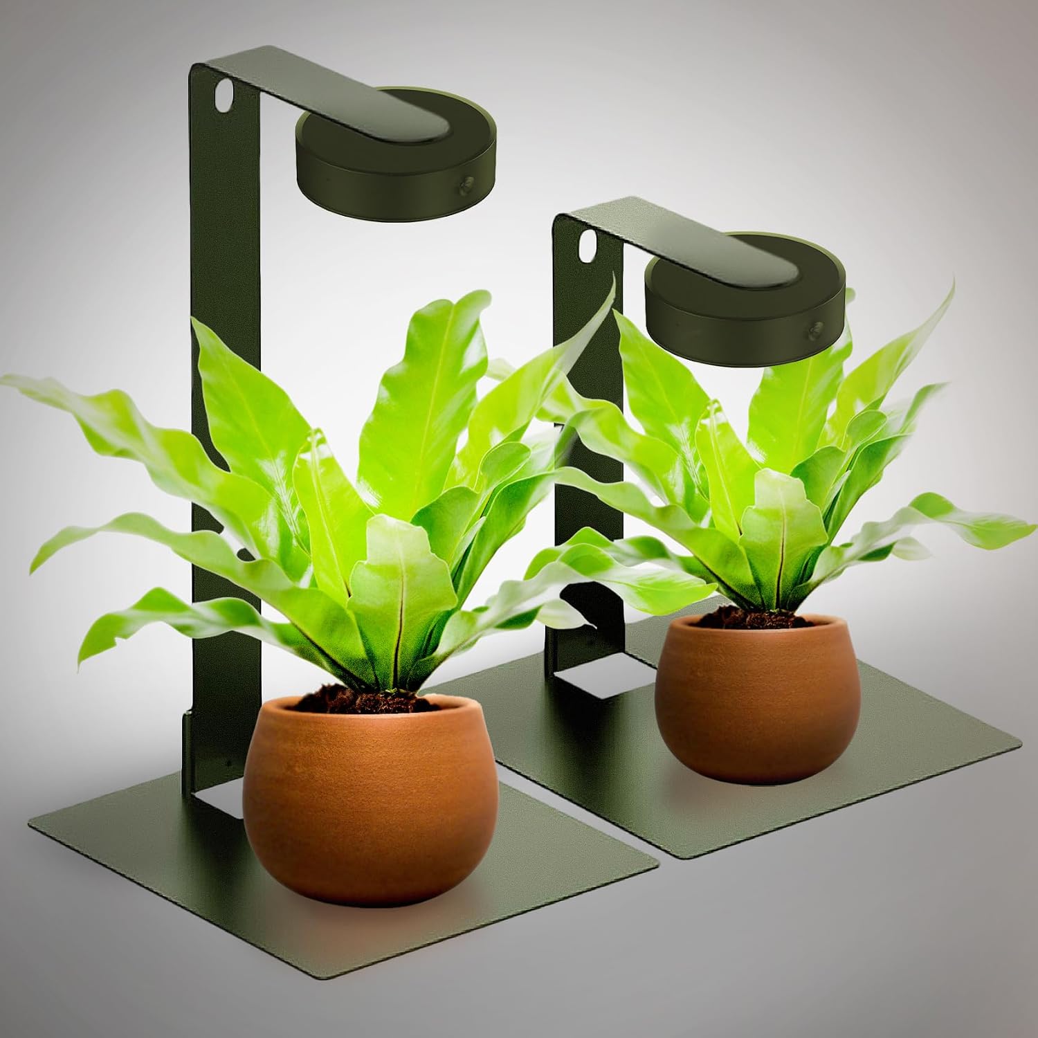 Set of 2 Desktop Grow Lights for Indoor Plants