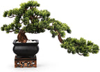 Artificial Pine Potted Plant with Wooden Base Zen